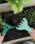 Raki Vert jardin