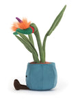 Amuseable Bird of Paradise