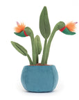 Amuseable Bird of Paradise