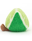 Amuseable Slice of Lime