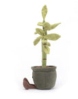Amuseable Potted Bamboo