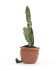 Amuseable Monstera Plant