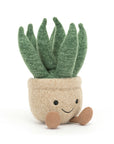 Amuseable Aloe Vera Small