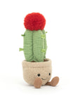Amuseable Moon Cactus