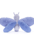 Bluebell Butterfly