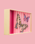 Box Butterflies Anamorphic