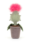 Carniflore Priscilla