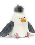 Chip Seagull