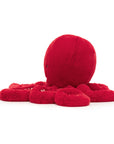 Cranberry Octopus Large