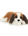 Floofie St Bernard