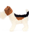 Hector Fox Terrier