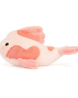 Fancy Carp