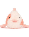 Fancy Carp