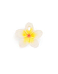 Hawaii the Flower