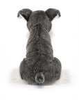 Lawrence Schnauzer