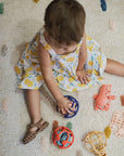 Set Of 2 Sensory Balls Orange And Blue
