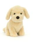 Golden Puppy