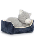 Napping Nipper Cat