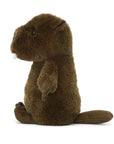Nippit Beaver
