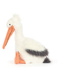Keli Pelican