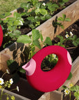 Cana Large Cerise