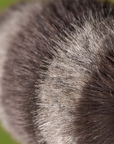 Trixiwoo Raccoon