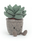 Silly Succulent Azulita
