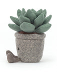Silly Succulent Azulita