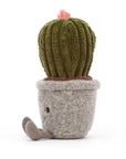 Silly Succulent Barrel Cactus