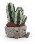 Silly Succulent Columnar Cactus