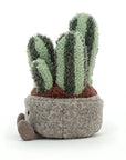 Silly Succulent Columnar Cactus