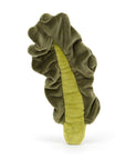Vivacious Vegetable Kale Leaf