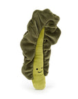 Vivacious Vegetable Kale Leaf