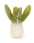 Vivacious Vegetable Bok Choy