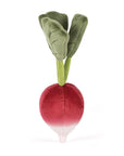 Vivacious Vegetable Radish