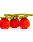 Vivacious Vegetable Tomato