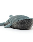 Wiley Whale