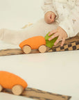 Cathy the Carrot car