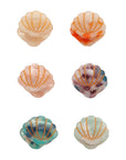 Mini Shell Claw Clips