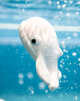 Walter the Whale
