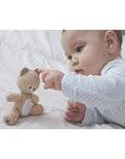 Ourson Articulé