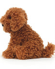 Cooper Doodle Dog