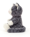 Mitten Kitten Storm