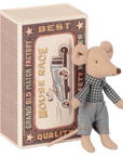 Little brother mouse in matchbox