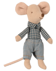 Little brother mouse in matchbox