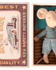 Little brother mouse in matchbox