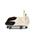 Porteur Chat Aiden