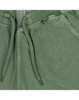 Shorts Big Swell Comfrey