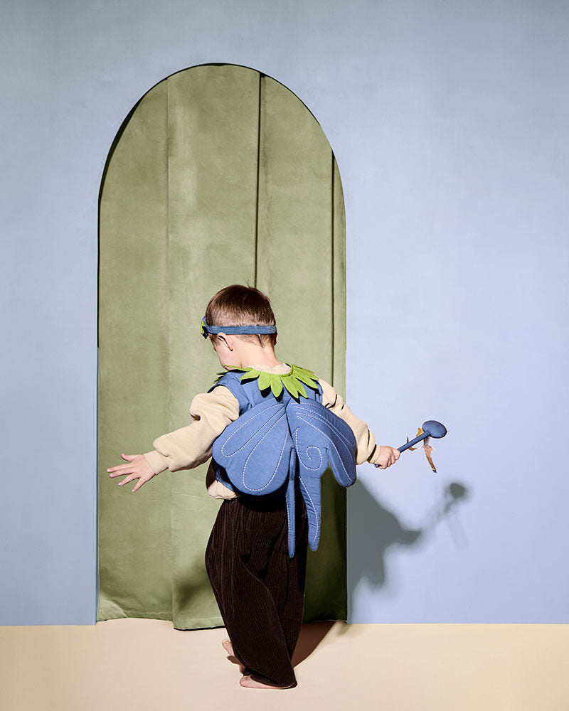 Fée des myrtilles DRESS-UP
