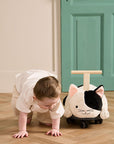 Porteur Chat Aiden